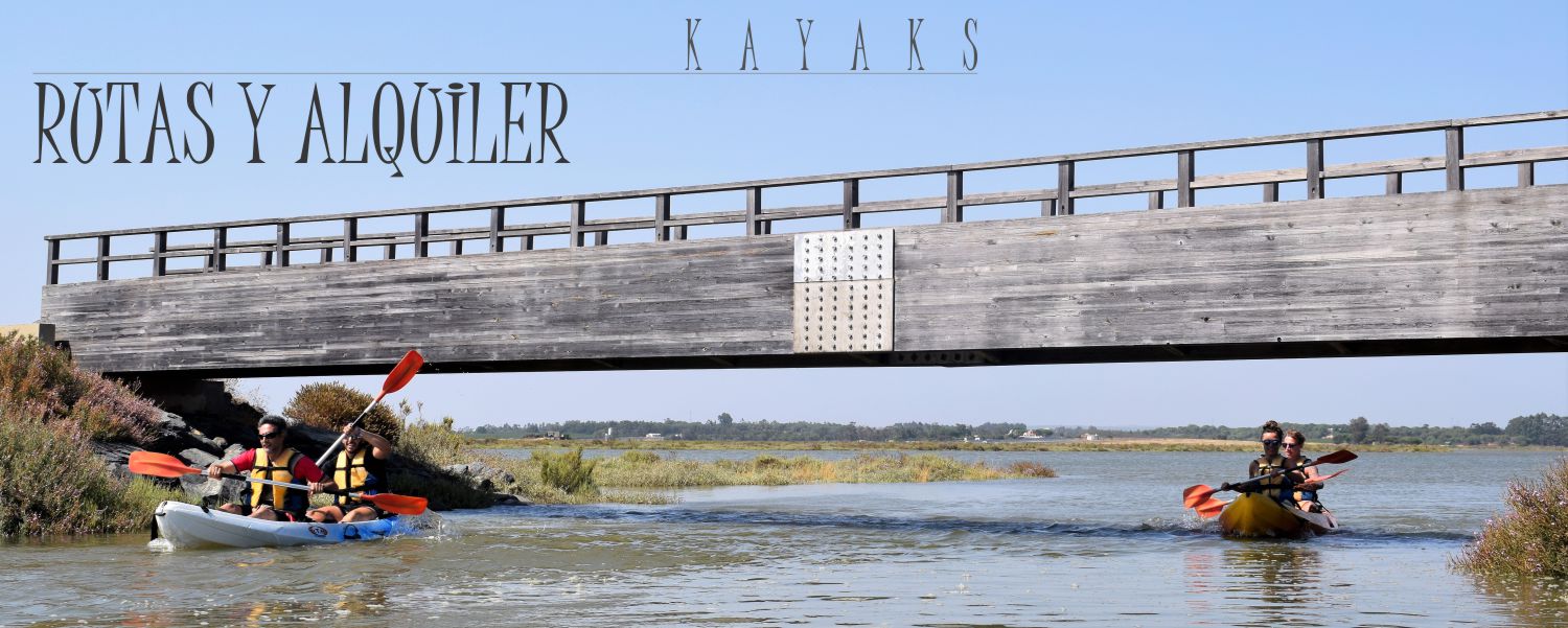 alquiler quad-bicicletas